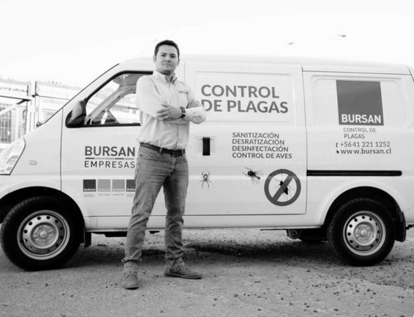 Control de plagas: un servicio seguro y eficaz